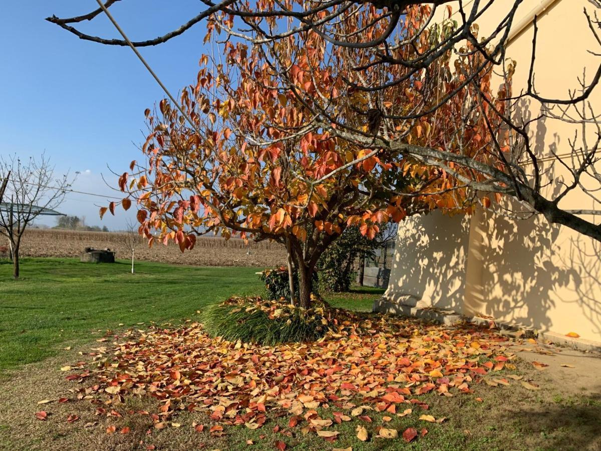 Agriturismo Cascina Mariale 알비아노디브레 외부 사진