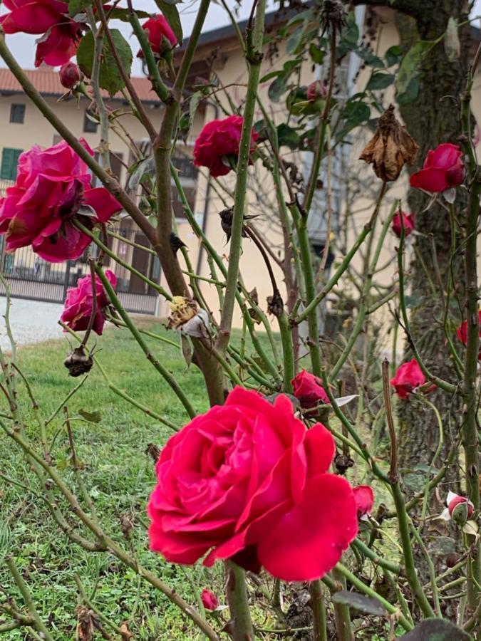 Agriturismo Cascina Mariale 알비아노디브레 외부 사진